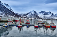 fishing vessels in harbour of Husøy