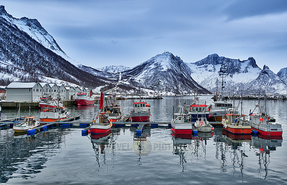 fishing vessels in harbour of Husøy
