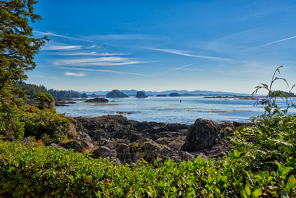 Wild Pacific Trail
