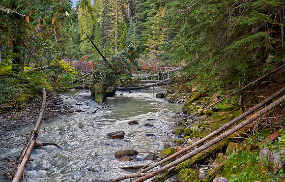 Birkenhead Lake Provincial Park