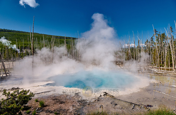 Cistern Spring, Norris Geyser Basin, Yellowstone National Park