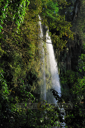 Waterfall Misol-Ha