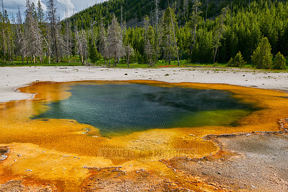 Emerald Pool, Black Sand Basin, Yellowstone National Park