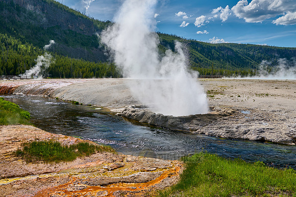 Cliff Geyser at Iron Spring Creek, Black Sand Basin, Yellowstone National Park