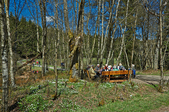 resting hiker in Perlenbachtal
