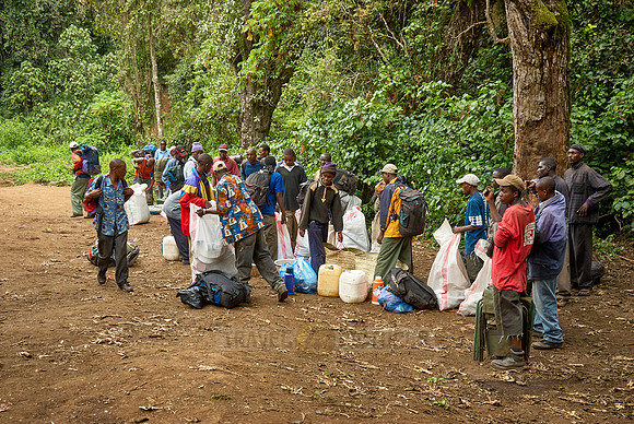 porters with baggage