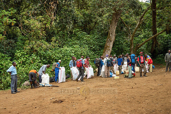 porters with baggage