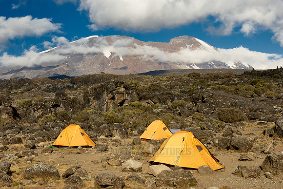 Campsite mit KILIMANJARO