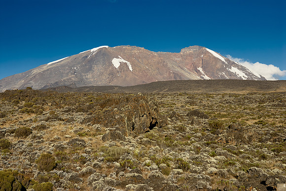 view from Shira-Plateau to Mount Kilimanjaro