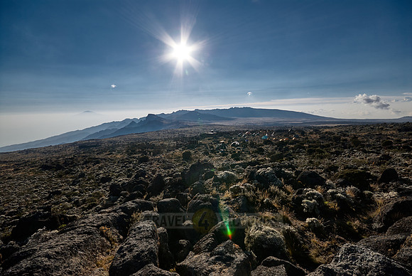 view above Shira-Plateau