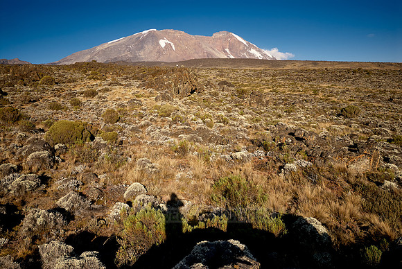 view from Shira-Plateau to Mount Kilimanjaro