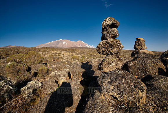 view from Shira-Plateau to Mount Kilimanjaro