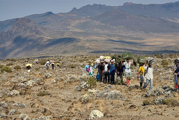 Porter at Kilimanjaro