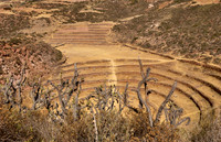 Agricultural Inca Terraces at Moray