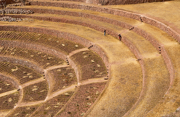 Agricultural Inca Terraces at Moray