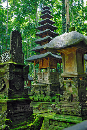 Temple of the monkeys Pura Bukit Sari