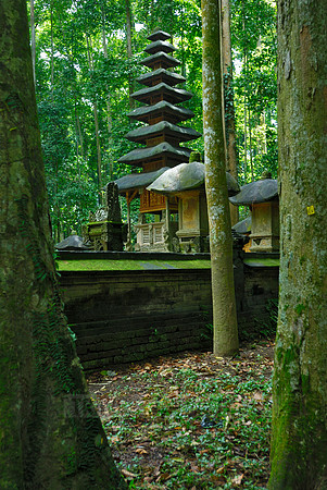 Temple of the monkeys Pura Bukit Sari