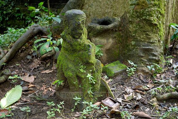 Temple of the monkeys Pura Bukit Sari