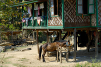 trekking around Lake Inle
