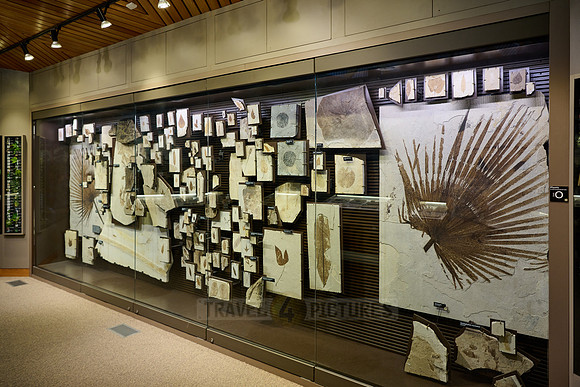 interior shot of Visitor Center of Fossil Butte National Monument