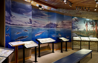 interior shot of Visitor Center of Fossil Butte National Monument