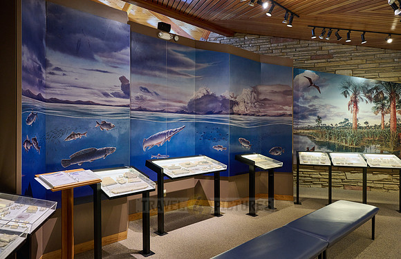 interior shot of Visitor Center of Fossil Butte National Monument