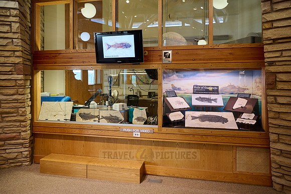 interior shot of Visitor Center of Fossil Butte National Monument