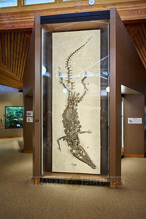 interior shot of Visitor Center of Fossil Butte National Monument
