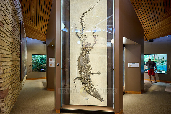interior shot of Visitor Center of Fossil Butte National Monument