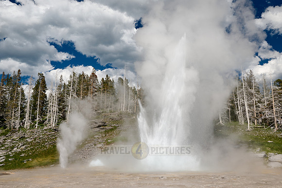 Grand Geyser, Upper Geyser Basin, Yellowstone National Park