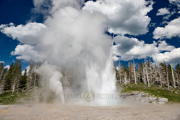 Grand Geyser, Upper Geyser Basin, Yellowstone National Park