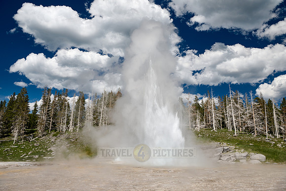 Grand Geyser, Upper Geyser Basin, Yellowstone National Park