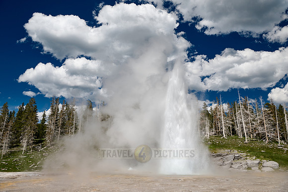 Grand Geyser, Upper Geyser Basin, Yellowstone National Park
