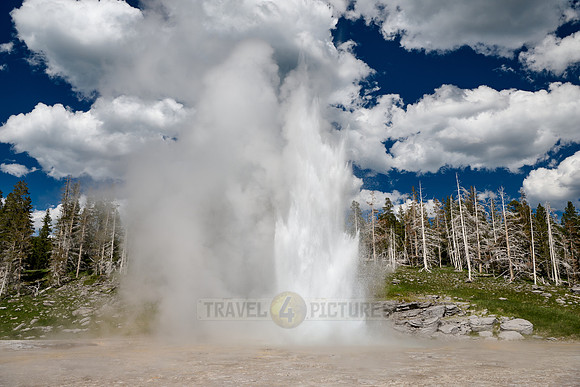 Grand Geyser, Upper Geyser Basin, Yellowstone National Park