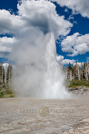 Grand Geyser, Upper Geyser Basin, Yellowstone National Park