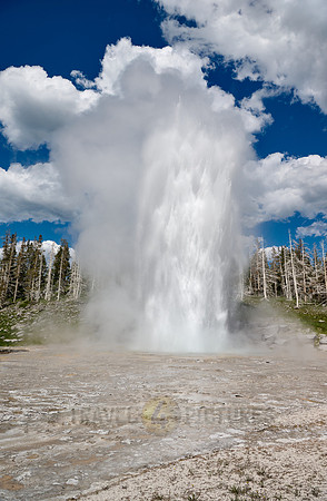 Grand Geyser, Upper Geyser Basin, Yellowstone National Park