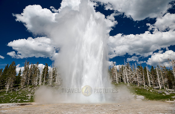 Grand Geyser, Upper Geyser Basin, Yellowstone National Park