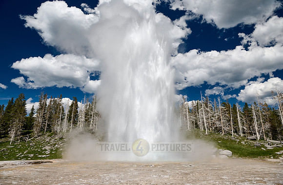 Grand Geyser, Upper Geyser Basin, Yellowstone National Park