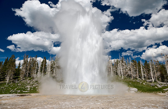Grand Geyser, Upper Geyser Basin, Yellowstone National Park