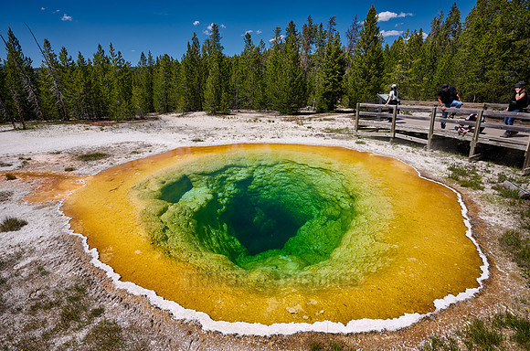 Morning Glory Pool, Upper Geyser Basin, Yellowstone National Park