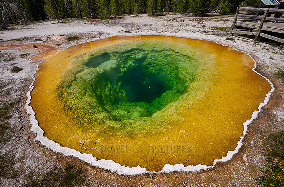 Morning Glory Pool, Upper Geyser Basin, Yellowstone National Park