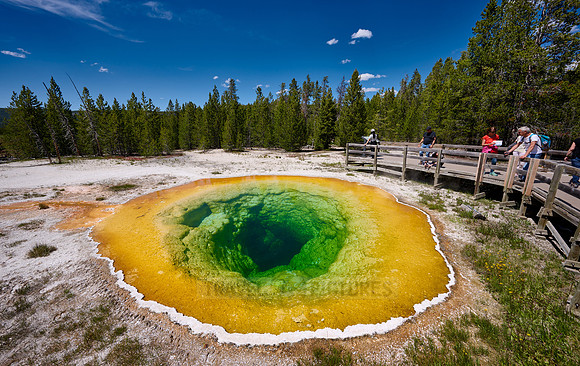 Morning Glory Pool, Upper Geyser Basin, Yellowstone National Park