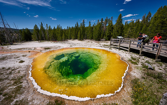Morning Glory Pool, Upper Geyser Basin, Yellowstone National Park