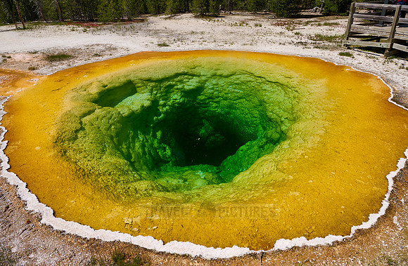 Morning Glory Pool, Upper Geyser Basin, Yellowstone National Park