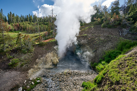 Dragon's Mouth Spring, Mud Volcano Area