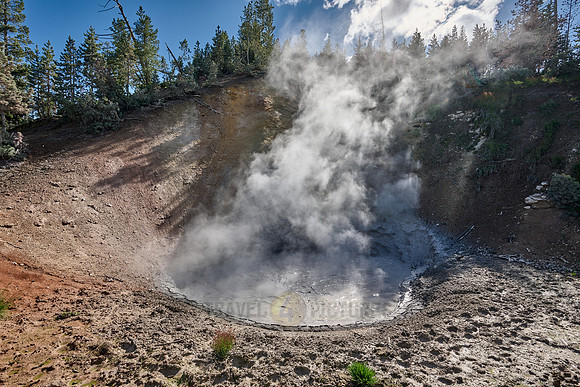 Mud Volcano, Mud Volcano Area