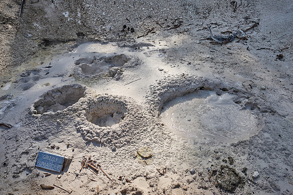 Grizzly Fumarole, Mud Volcano Area