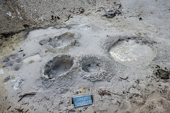 Grizzly Fumarole, Mud Volcano Area