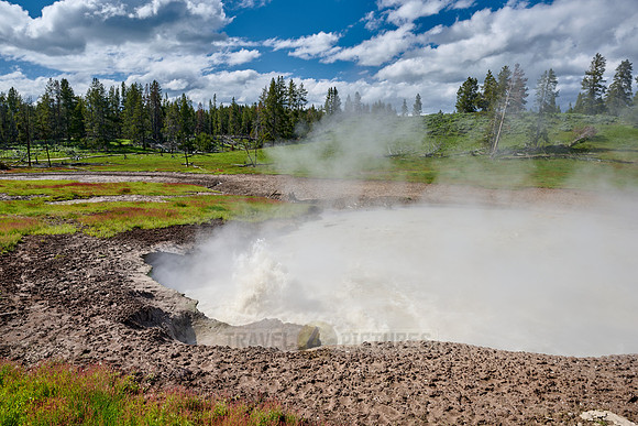 Churning Caldron, Mud Volcano Area