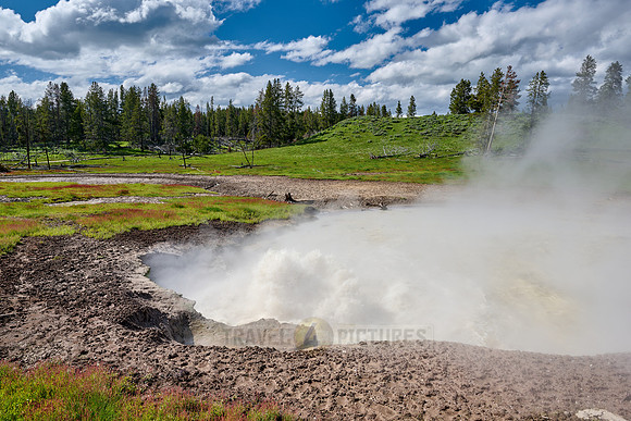 Churning Caldron, Mud Volcano Area